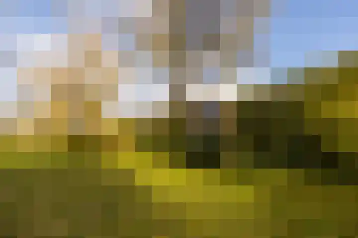 Akker 165 De Bilt thumbnail 29