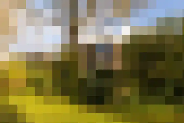 Akker 165 De Bilt thumbnail 30