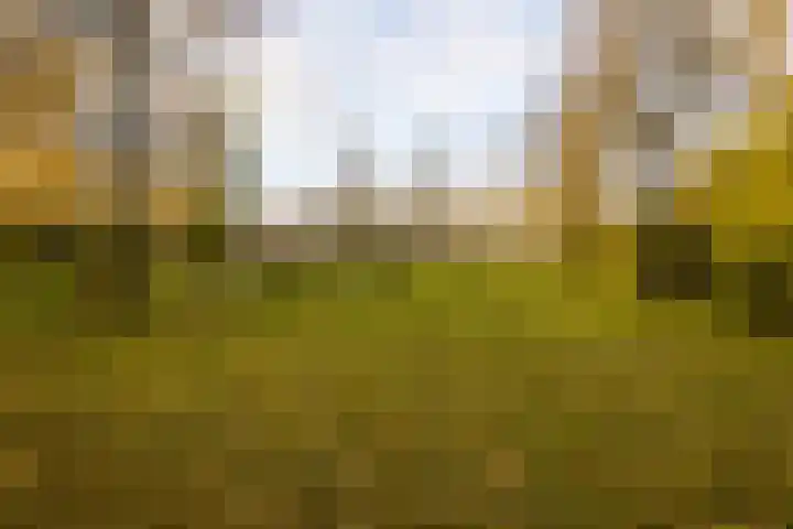 Akker 165 De Bilt thumbnail 31