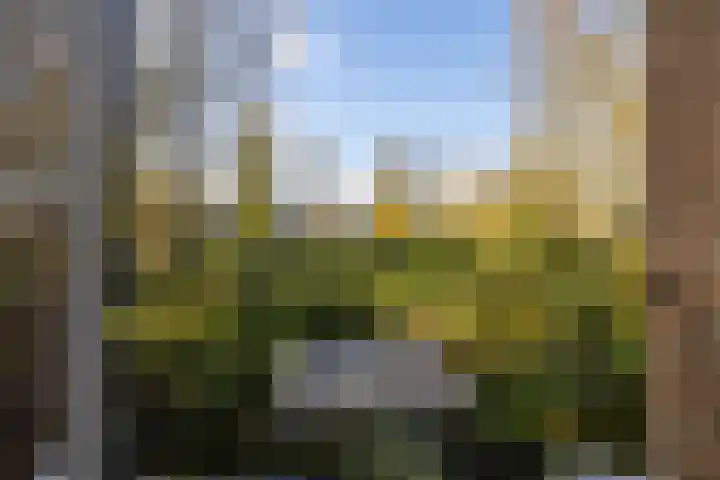 Akker 165 De Bilt thumbnail 4