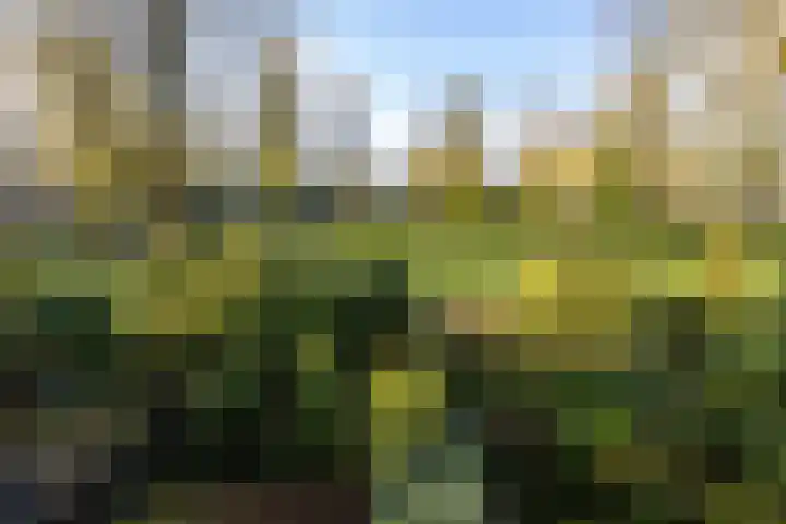 Akker 165 De Bilt thumbnail 5