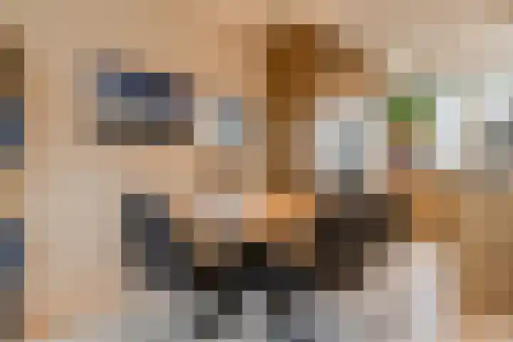 Akker 41 Holten thumbnail 10