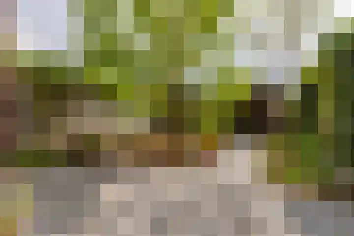 Akker 41 Holten thumbnail 24
