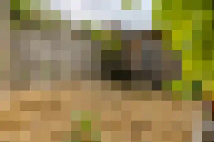 Akker 41 Holten thumbnail 27