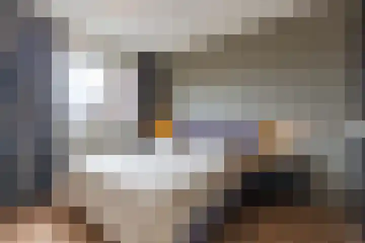 Akker 45 Holten thumbnail 18
