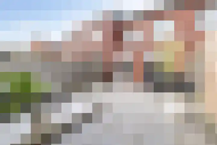 Akker 45 Holten thumbnail 27