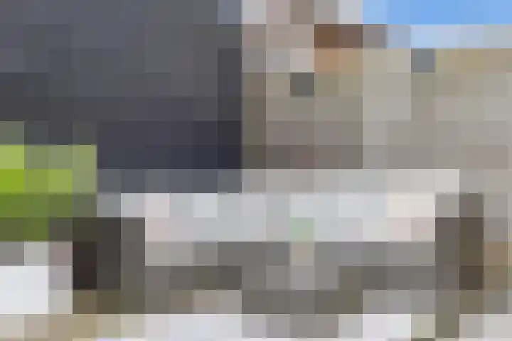 Akker 45 Holten thumbnail 28