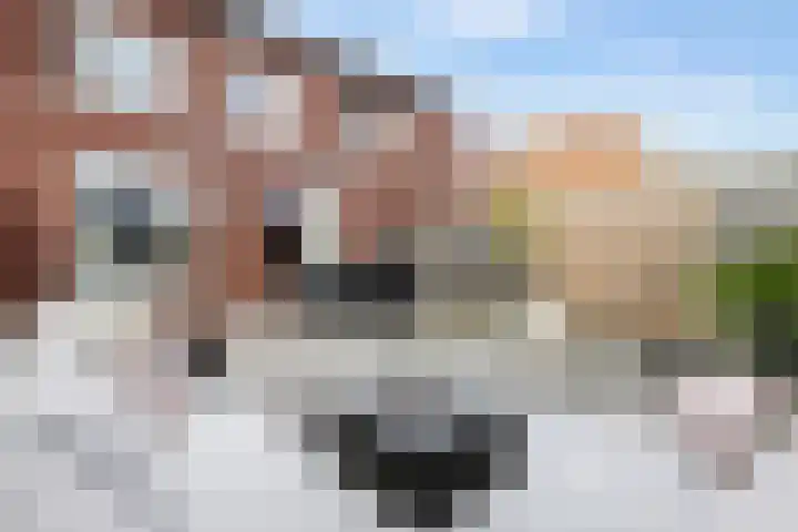 Akker 45 Holten thumbnail 29