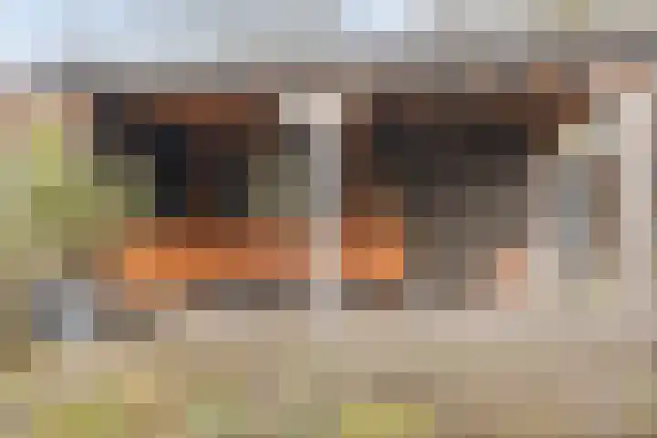 Akker 58 Borne thumbnail 36