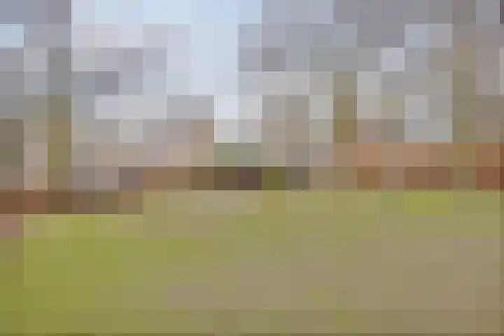 Akker 58 Borne thumbnail 43