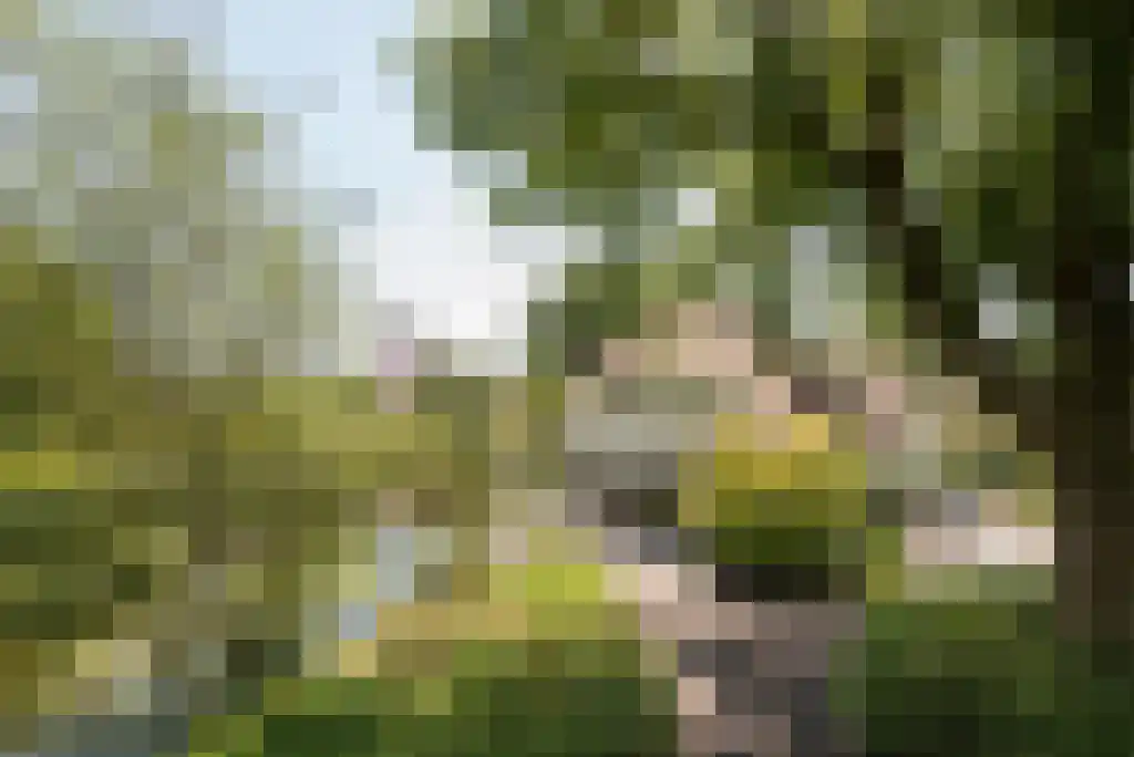 Akker 6 Middenbeemster thumbnail 11
