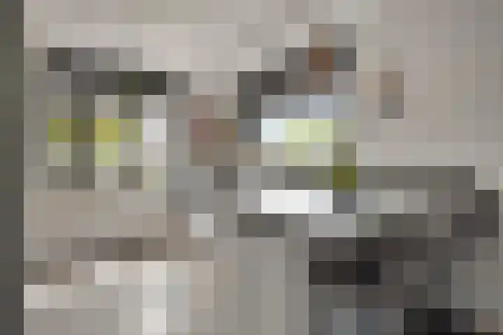 Akker 6 Middenbeemster thumbnail 12