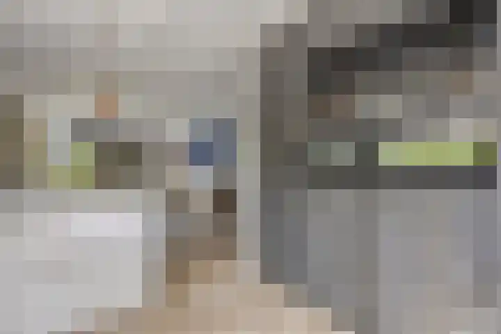 Akker 6 Middenbeemster thumbnail 13