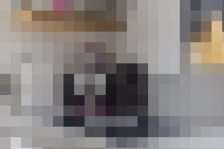 Akker 6 Middenbeemster thumbnail 16