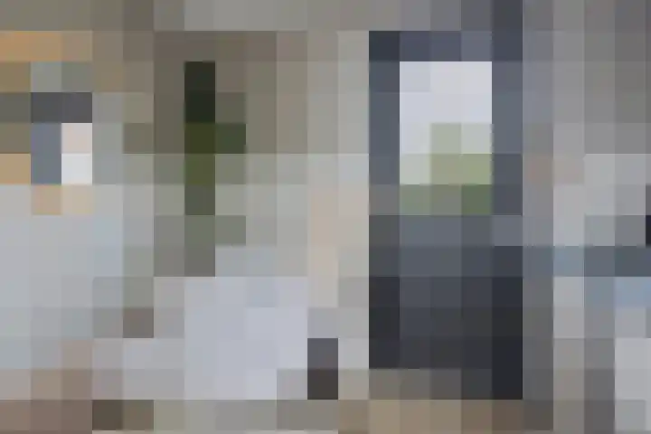Akker 6 Middenbeemster thumbnail 19