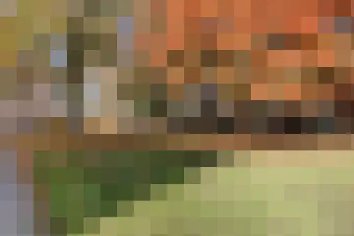Akker 6 Middenbeemster thumbnail 38