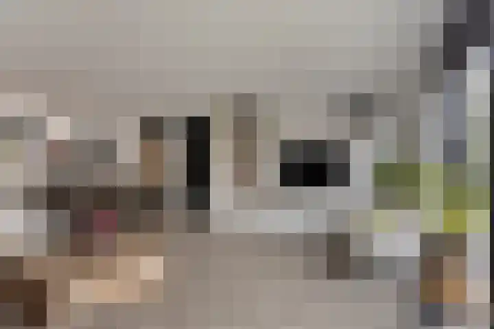 Akker 6 Middenbeemster thumbnail 8