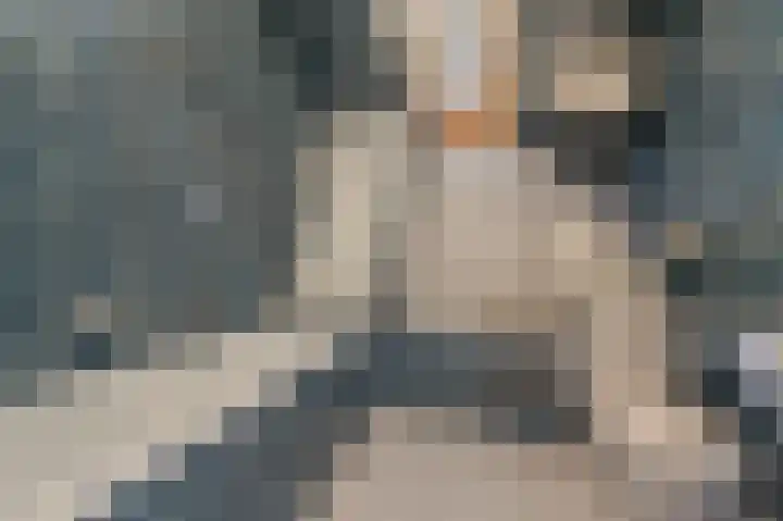 Akker 6 Middenbeemster thumbnail 9