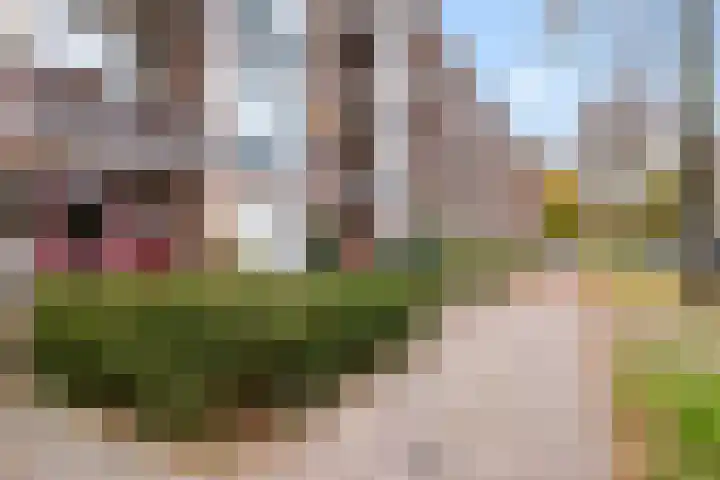 Akker 81 De Bilt thumbnail 27