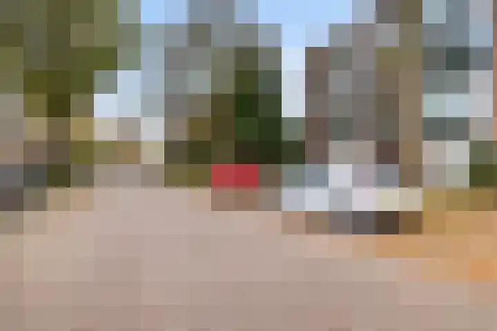 Akker 81 De Bilt thumbnail 29
