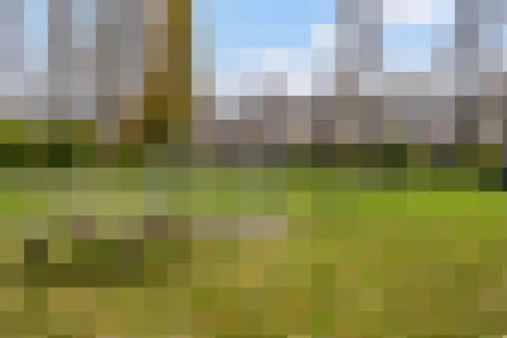 Akker 81 De Bilt thumbnail 30