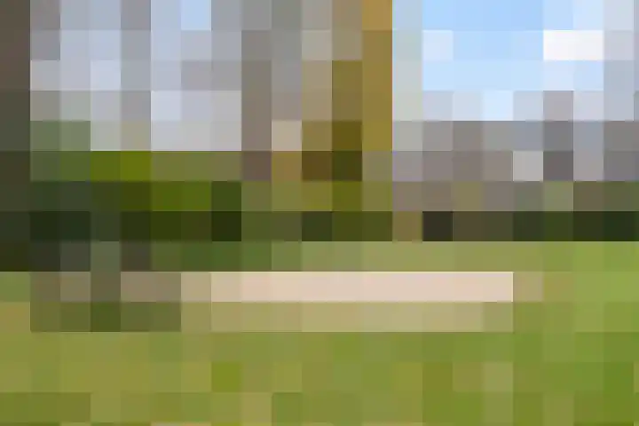 Akker 81 De Bilt thumbnail 31