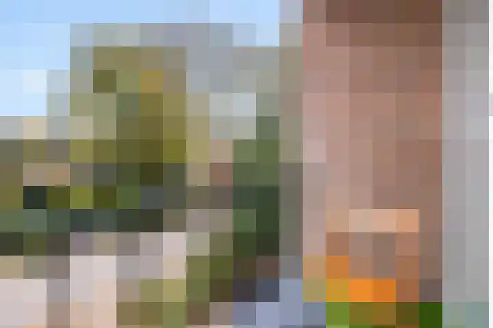 Akker 81 De Bilt thumbnail 7