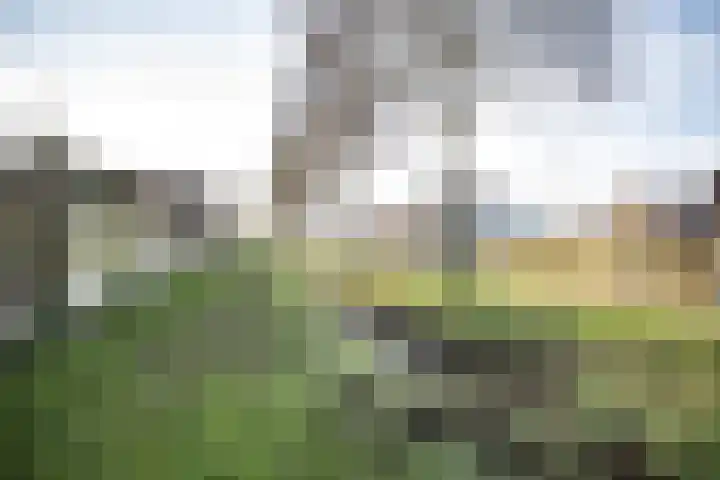 Akker 9 Vriezenveen thumbnail 37