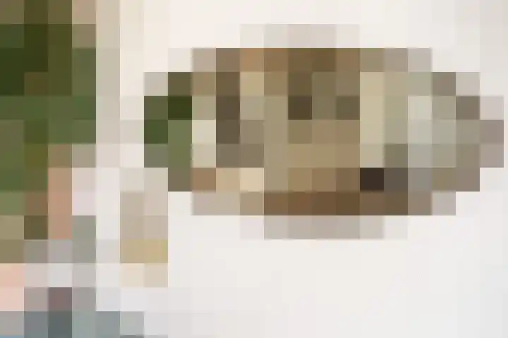 Akker 91 De Bilt thumbnail 11