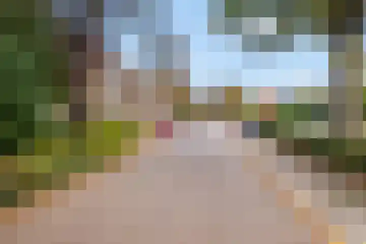 Akker 91 De Bilt thumbnail 39