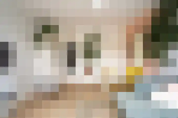 Akker 91 De Bilt thumbnail 4