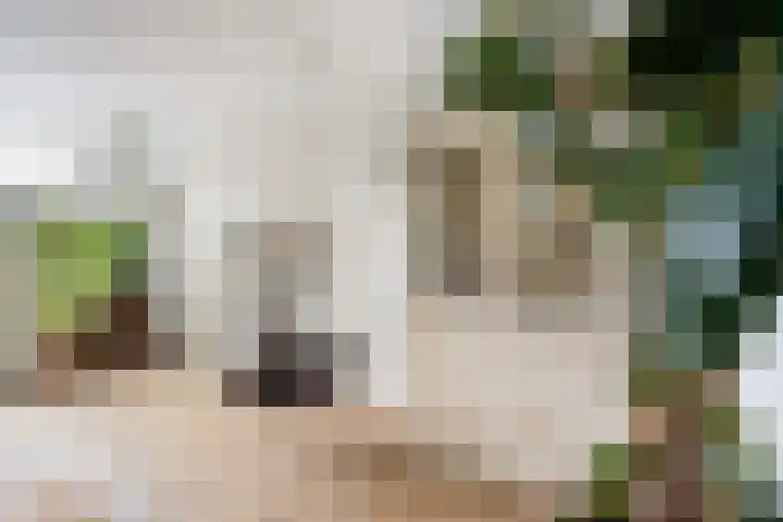 Akker 91 De Bilt thumbnail 9