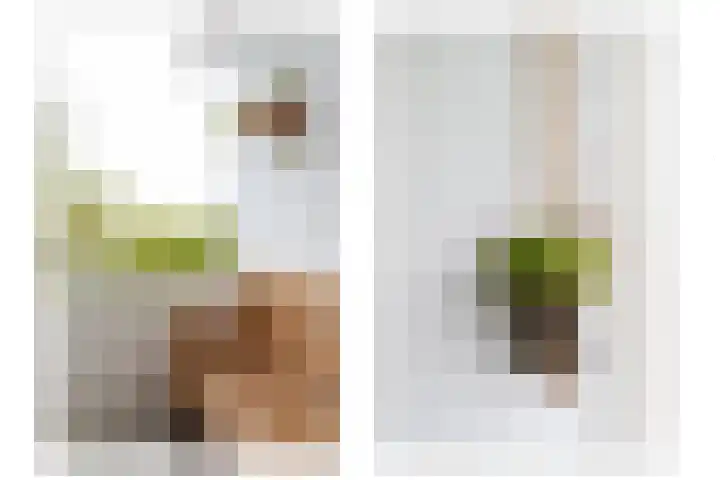 Akker 95 De Bilt thumbnail 17