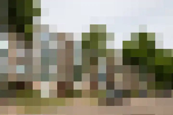 Akker 95 De Bilt thumbnail 39