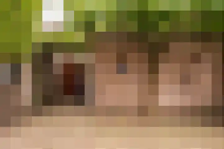 Akkerbouw 7 Houten thumbnail 22