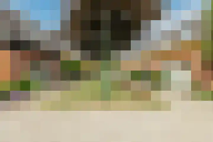 Akkerbouw 7 Houten thumbnail 45