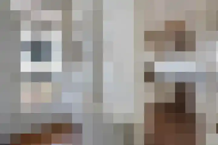 Akkerdreef 5 Zoetermeer thumbnail 14