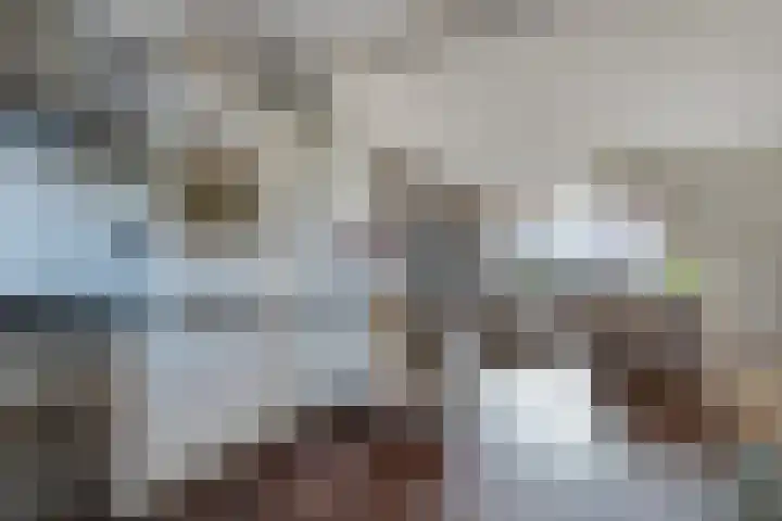 Akkerdreef 5 Zoetermeer thumbnail 17