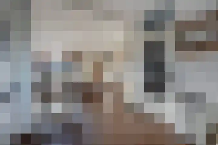 Akkerdreef 5 Zoetermeer thumbnail 18