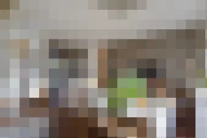 Akkerdreef 5 Zoetermeer thumbnail 26