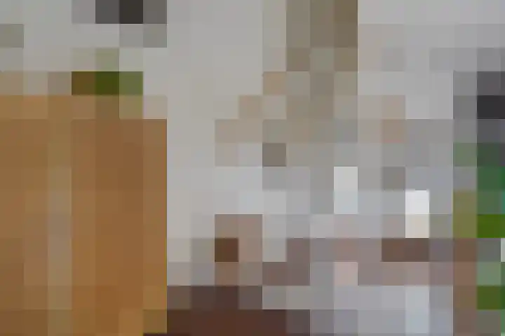 Akkerdreef 5 Zoetermeer thumbnail 28