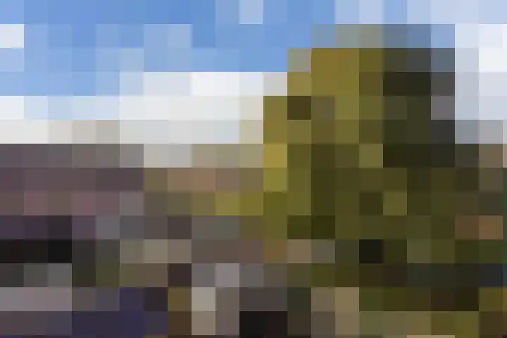 Akkerdreef 5 Zoetermeer thumbnail 34