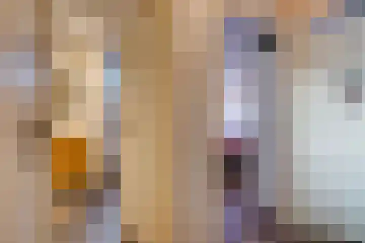 Akkerdreef 5 Zoetermeer thumbnail 39