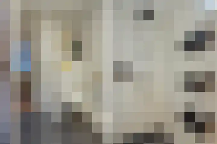 Akkerdreef 5 Zoetermeer thumbnail 50