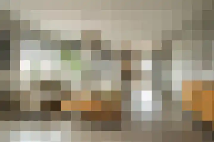 Akkerhof 5 Schoonrewoerd thumbnail 20