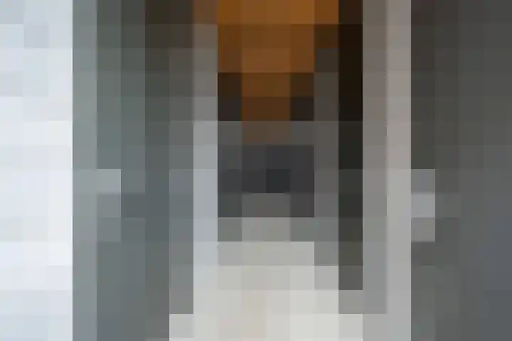 Akkerhof 5 Schoonrewoerd thumbnail 35