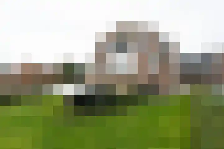 Akkerhof 5 Schoonrewoerd thumbnail 43