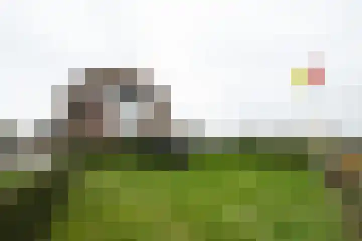 Akkerhof 5 Schoonrewoerd thumbnail 44