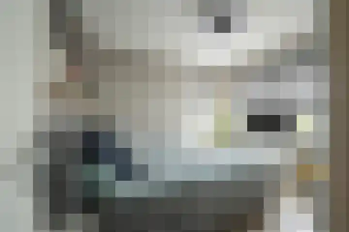 Akkerhof 5 Schoonrewoerd thumbnail 7