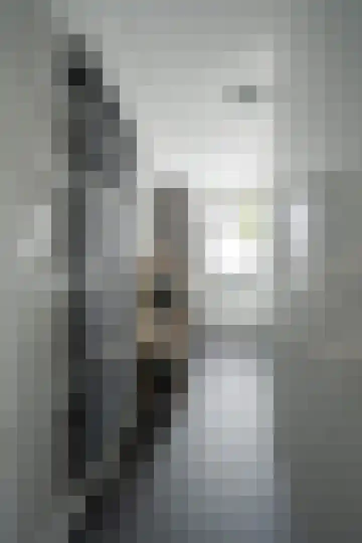 Akkerhof 5 Schoonrewoerd thumbnail 9